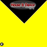 House & Dance Compilation Vol 12