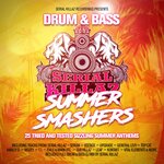 Drum & Bass Summer Smashers (unmixed tracks)
