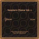 Yesenia's Choice, Vol 1