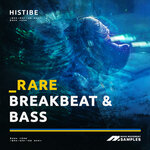 Rare Breakbeat & Bass by Histibe (Sample Pack WAV)