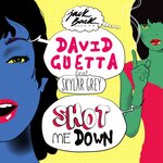 Shot Me Down (Radio Edit)