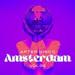 Amsterdam After Disco Vol 5