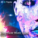 The House Music Seed Vol 2 (20 DJ Tracks)