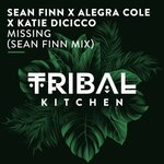 Missing (Sean Finn Mix)