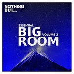 Nothing But... Essential Big Room, Vol 03