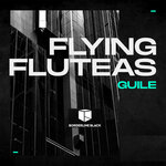 Flying Fluteas (Original Mix)