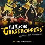 Grasshoppers (Original Mix)