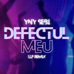 Defectul Meu (Remix)