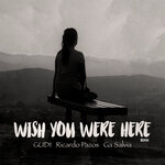 Wish You Were Here (Remix)