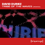 Tribe Of The Waves (The Mixes Collection)