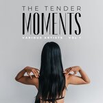 The Tender Moments, Vol 1