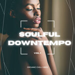Soulful Downtempo Vol 1 (Organic Chill Vibes)