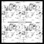 Schrodinger's Wedding (Remixes)