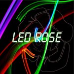 Led Rose