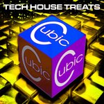 Cubic Tech House Treats, Vol 44