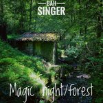 Magic Night / Forest