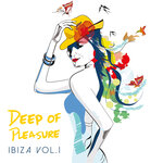 Deep Of Pleasure Ibiza, Vol 1
