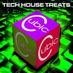 Cubic Tech House Treats, Vol 45