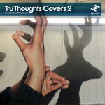Tru Thoughts Covers 2 (Compiled By Robert Luis)
