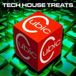 Cubic Tech House Treats, Vol 46