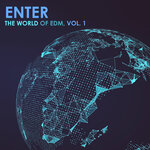 Enter The World Of EDM Vol 1
