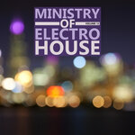 Ministry Of Electro House, Vol 12