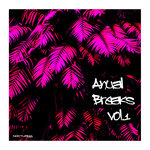 Anual Breaks Vol 1 (Explicit)