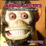 The Essential Collection Of Monkeys 2022 - Part 1