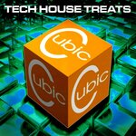 Cubic Tech House Treats Vol 47