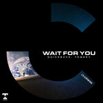 Wait For You (Extended Mix)