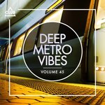 Deep Metro Vibes Vol 45