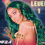 Level 1 (Explicit)