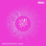 Redux Selection, Vol 12 / 2022