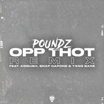 Opp Thot (Remix)