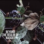 VA Beyond The Realm Of Naught