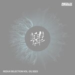Redux Selection, Vol 1 / 2023
