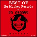 Best Of Nu Monkey Records 2022, Pt. 3