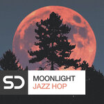 Moonlight Jazz Hop (Sample Pack WAV/MIDI)