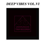 Deep Vibes Vol VI