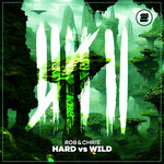 Hard vs Wild (Extended Mix)