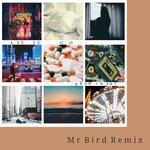 Let It Go (Mr Bird Remix)