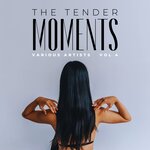 The Tender Moments, Vol 4