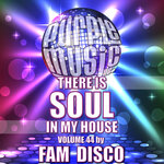 Fam Disco Presents There Is Soul In My House Vol 46