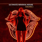 Ultimate Minimal House, Vol 2