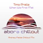 When We First Met (Andrew Fields Chillout Mix)