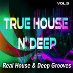 True House N' Deep, Vol 3 - Real House & Deep Grooves
