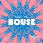 Crush On House, Vol 4