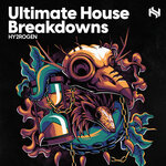 Ultimate House Breakdowns (Sample Pack WAV/MIDI/Serum Presets)