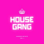 House Gang, Vol 1