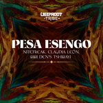 Pesa Esengo (Extended Mix)